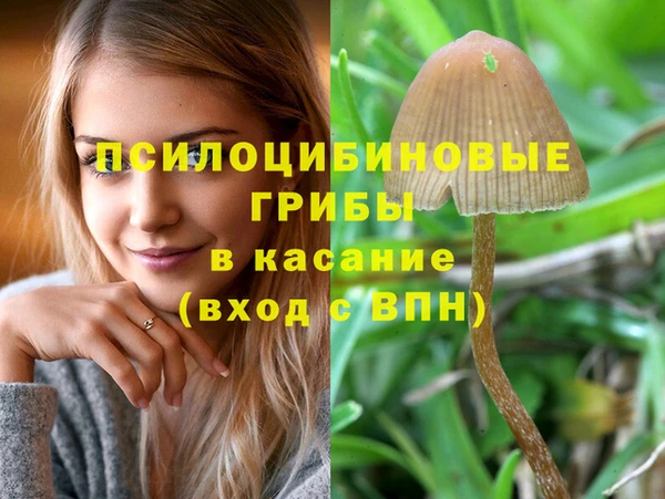 крисы Алексин