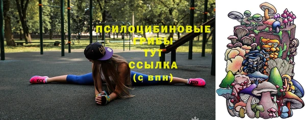 крисы Алексин