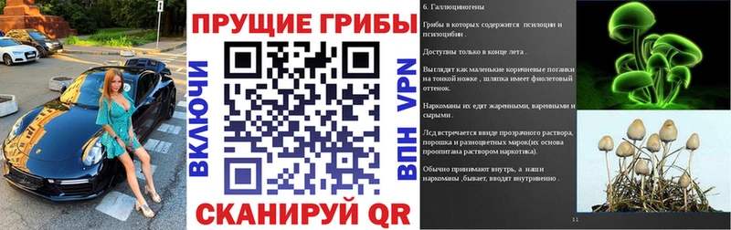 Галлюциногенные грибы ЛСД Артёмовский